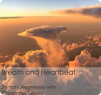 Soft golden clouds illuminated by warm sunlight, creating a calm and expansive sky