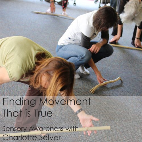 Finding movement that is true concept illustration