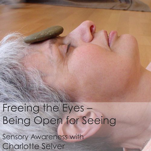 Freeing the eyes graphic image