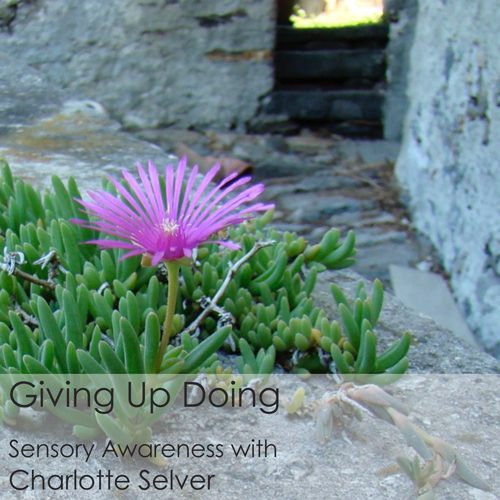 Giving up versus doing comparison graphic