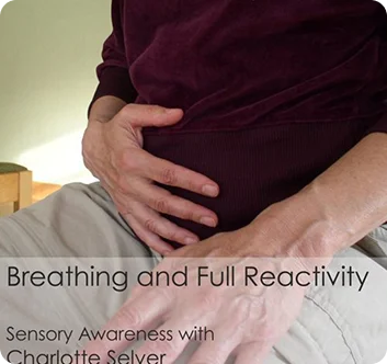 A person resting their hands on their torso, gently sensing breath and bodily awareness in a mindful posture.