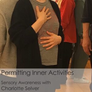 Inner activities for permitting process