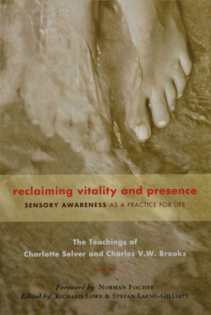 Abstract visual symbolizing sensory awareness and vitality with warm colors and flowing forms around a centered figure