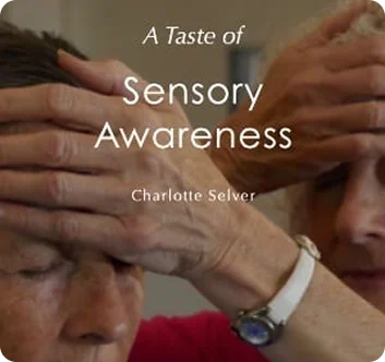 A moment of mindful touch in a Sensory Awareness session.