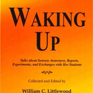 Person waking up in bed stretching arms in the morning