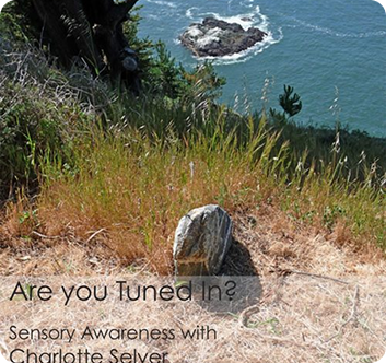 Wide coastal landscape with grassy cliffs overlooking the ocean, inviting presence, stillness, and sensory awareness in nature.