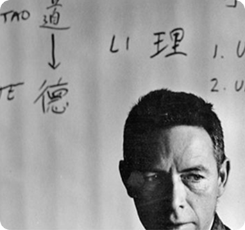 Portrait of a person